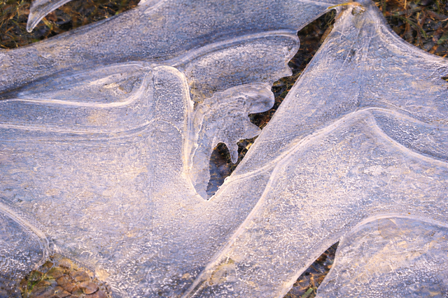 Materialvalg – treverk, glass og konstruksjon